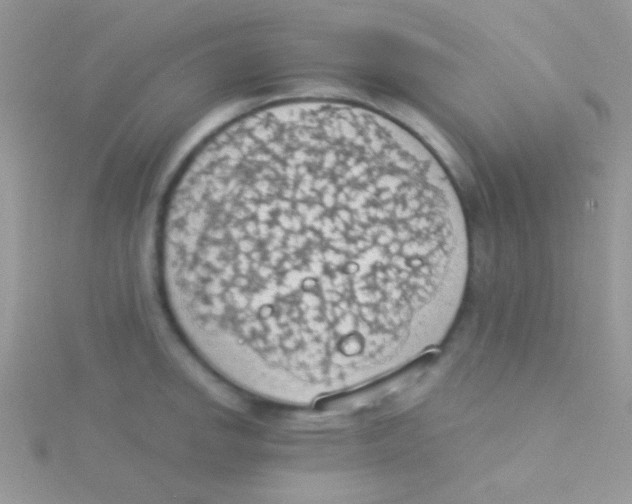 X0000115031142200911231107