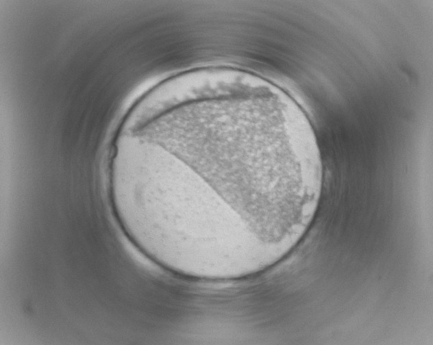 X0000115031143200911231107