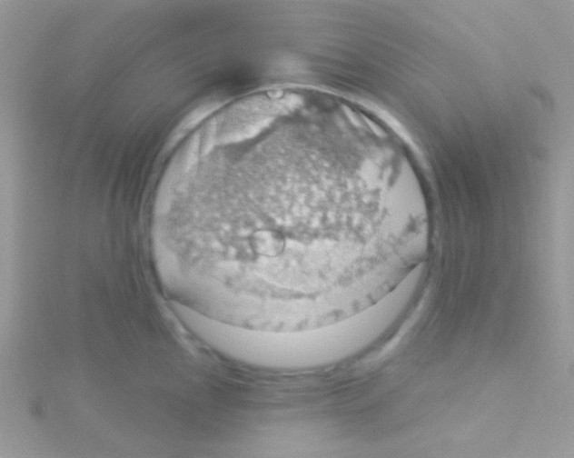 X0000115031145200911231107