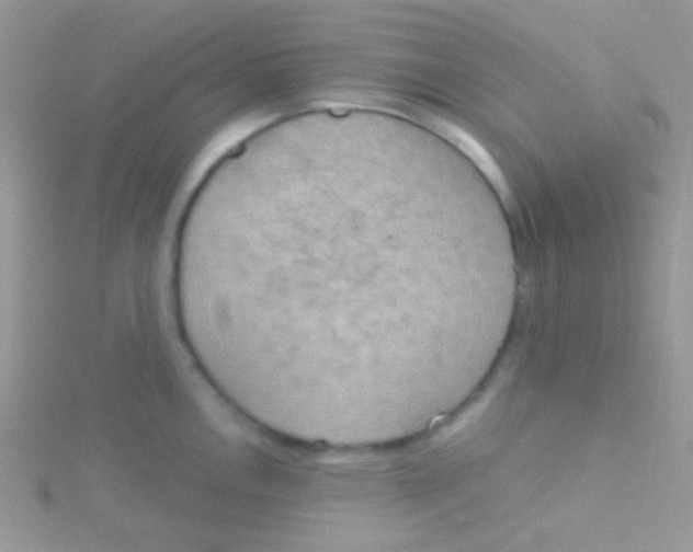 X0000115031146200911231107