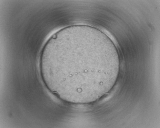 X0000115031149200911231107