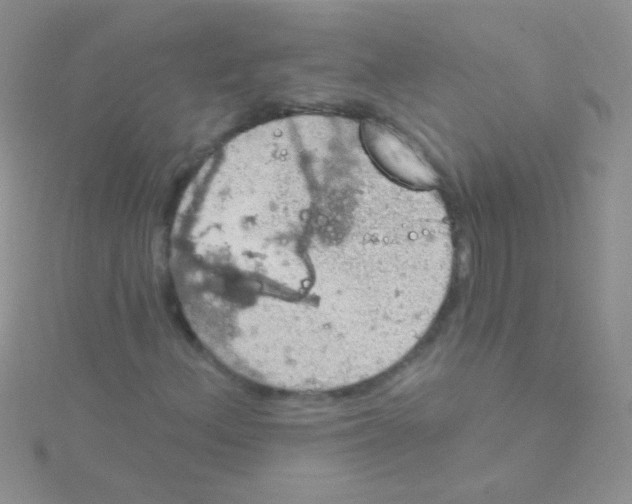 X0000115031156200911231106