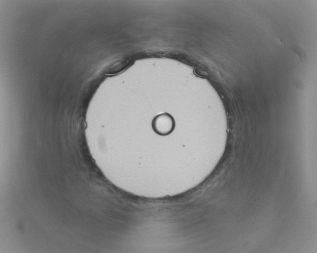 X0000115031157200911231106