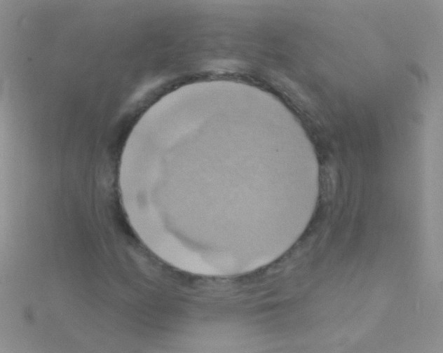 X0000115031158200911231106