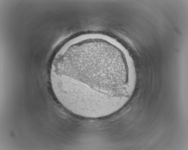 X0000115031160200911231106