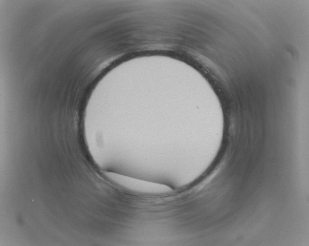 X0000115031161200911231106