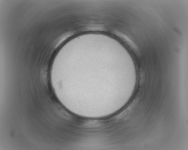 X0000115031162200911231106