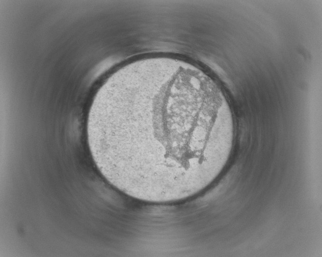 X0000115031163200911231106