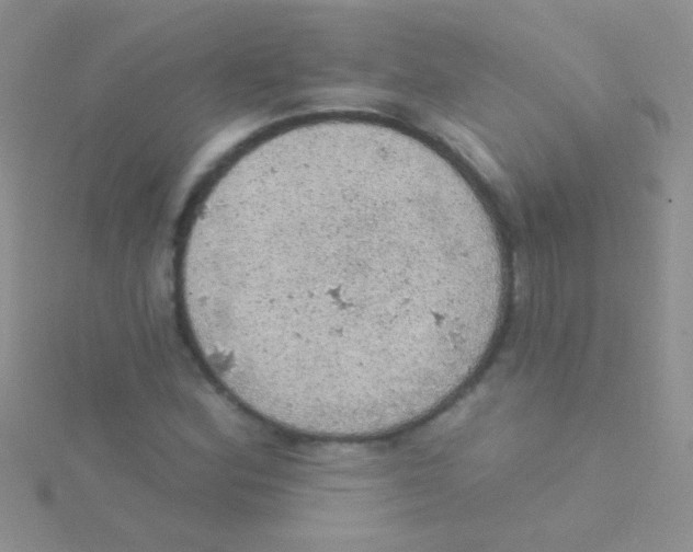 X0000115031164200911231106