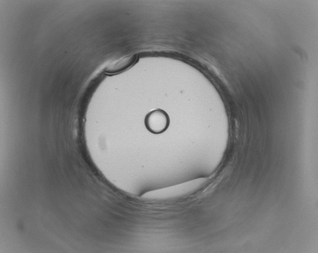 X0000115031165200911231106