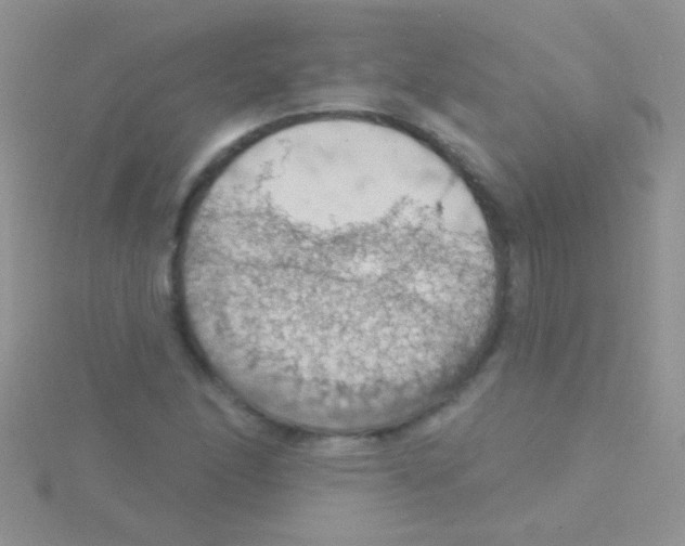 X0000115031166200911231106