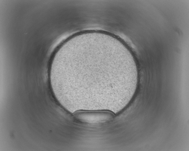 X0000115031167200911231106