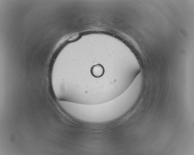 X0000115031168200911231106