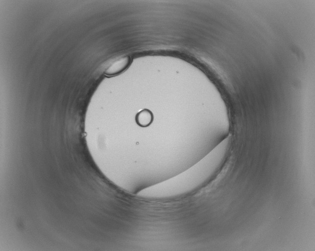 X0000115031169200911231106