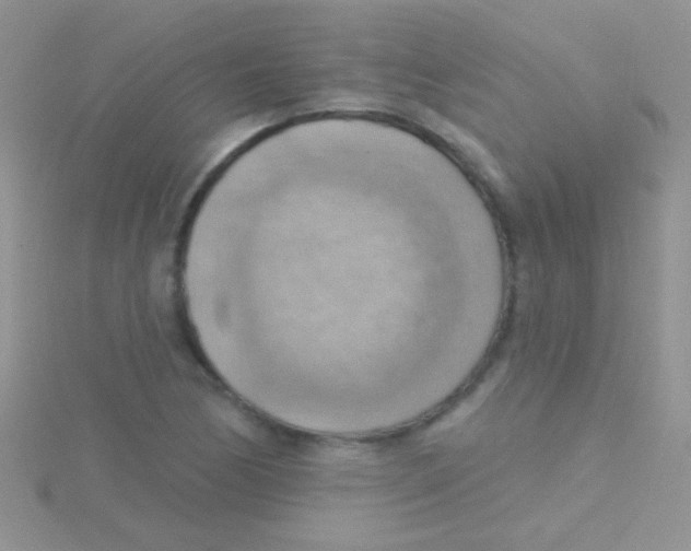 X0000115031170200911231106