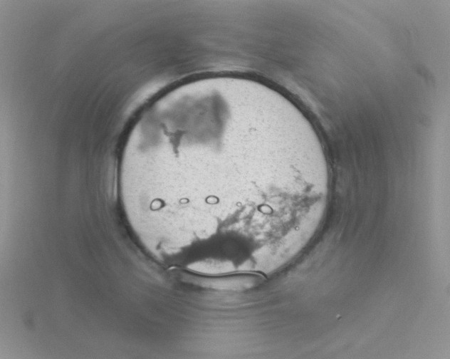 X0000115031171200911231106