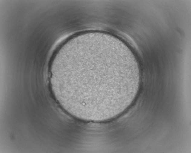 X0000115031172200911231106