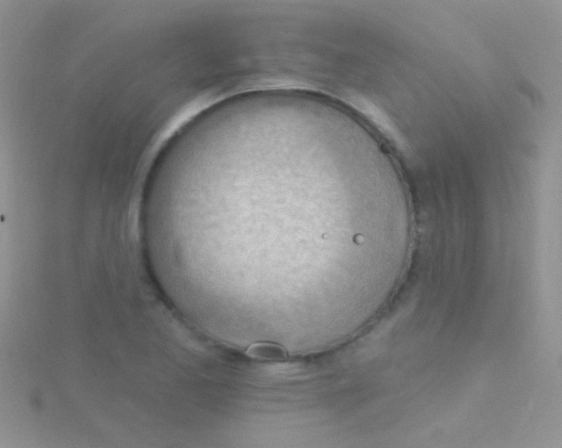 X0000115031173200911231106