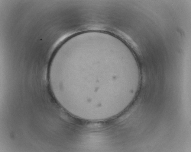 X0000115031174200911231106