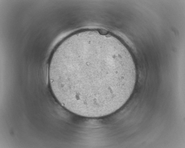 X0000115031175200911231106