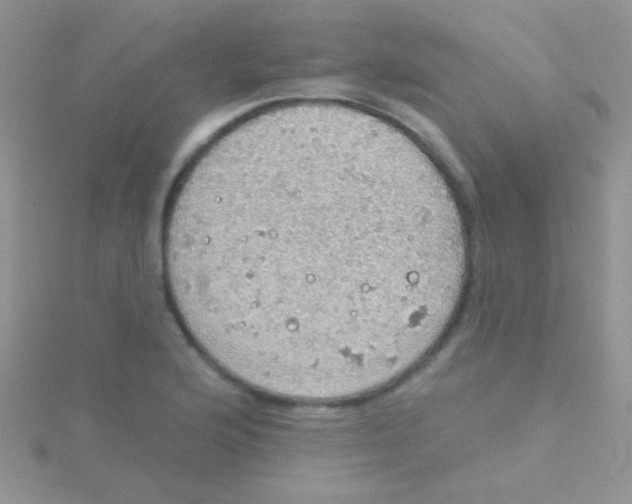 X0000115031176200911231106