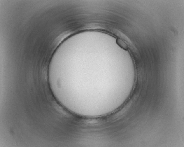 X0000115031177200911231106