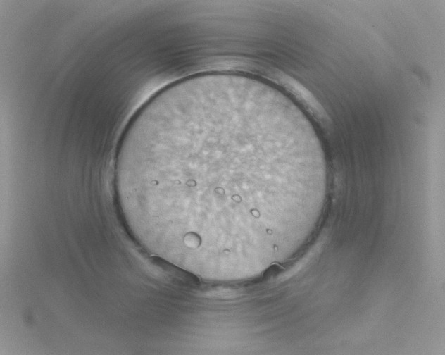 X0000115031178200911231106