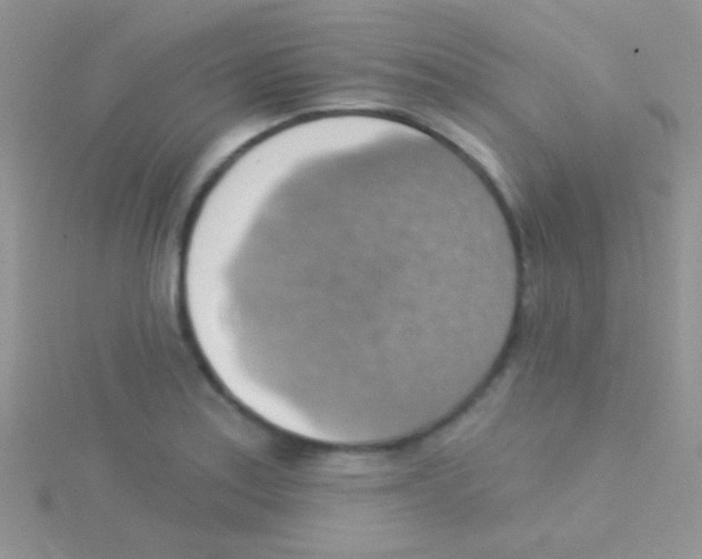 X0000115031179200911231106