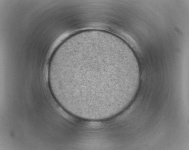 X0000115031180200911231106