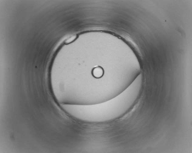 X0000115031181200911231106