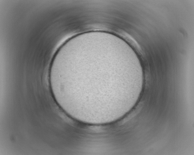 X0000115031182200911231106