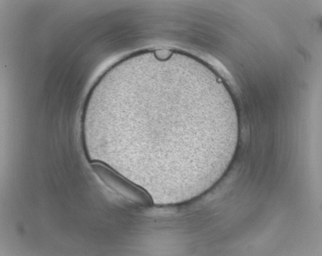 X0000115031183200911231106