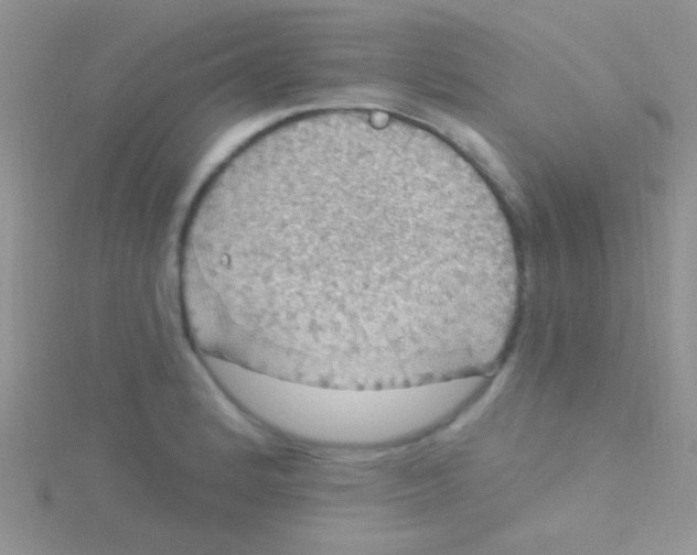 X0000115031184200911231106