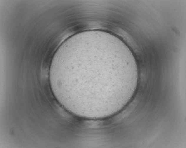 X0000115031185200911231106