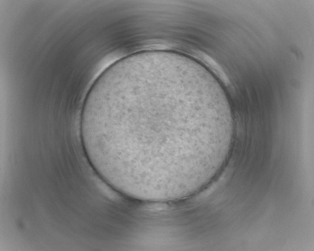 X0000115031186200911231106