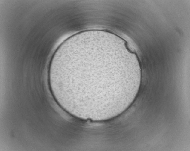 X0000115031187200911231106