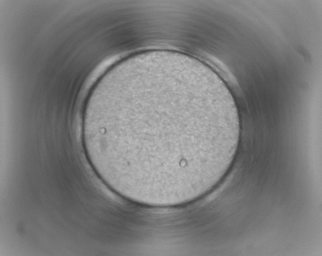 X0000115031188200911231106