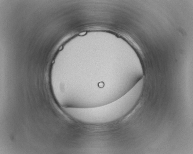 X0000115031189200911231106