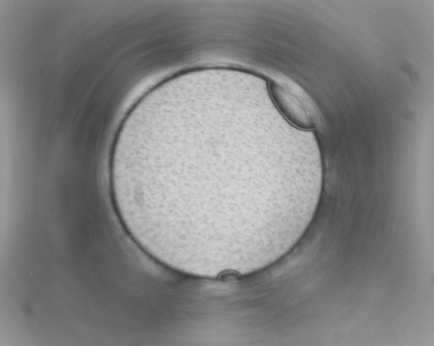 X0000115031191200911231106