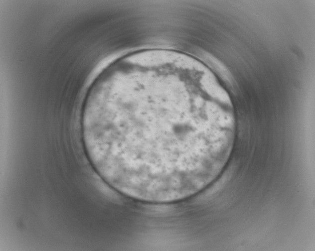 X0000115031192200911231106