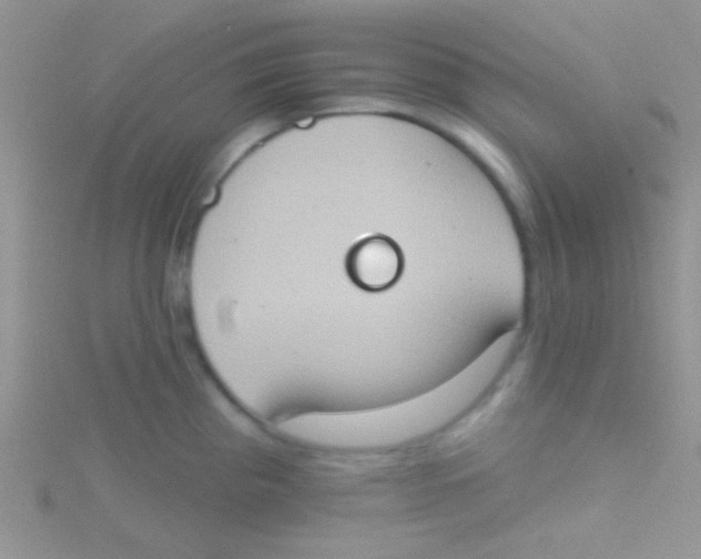 X0000115031193200911231106