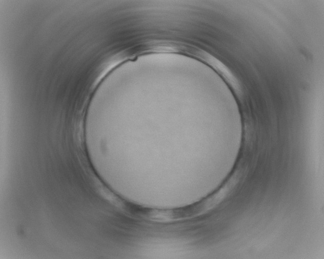 X0000115031194200911231106