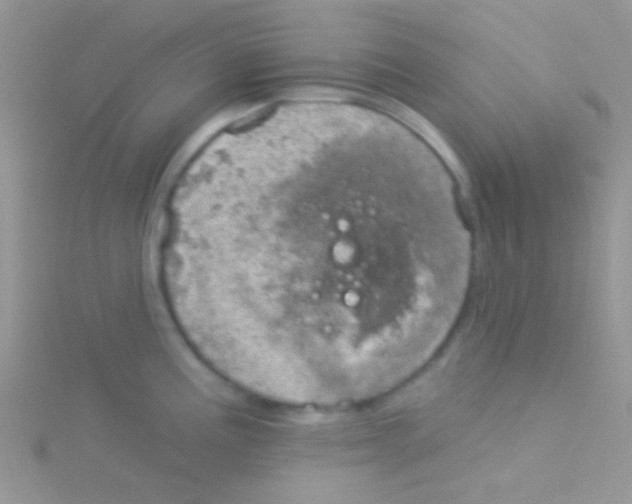 X0000115031195200911231106