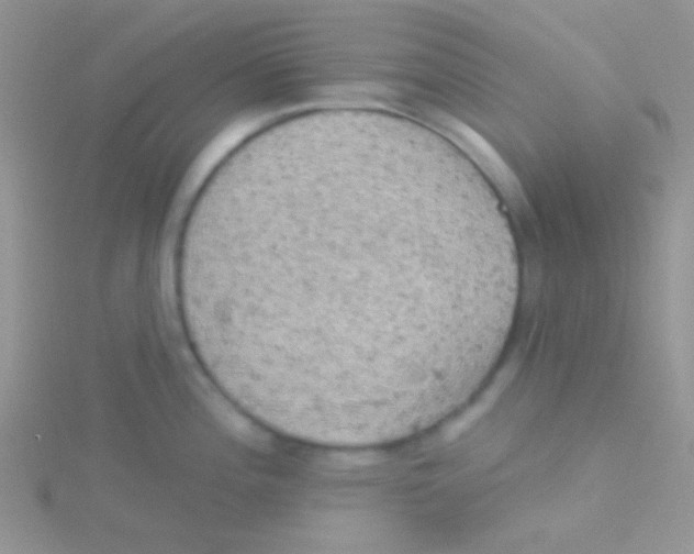 X0000115031196200911231106