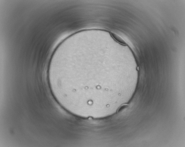 X0000115031197200911231106