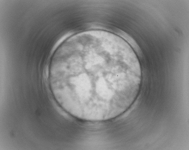 X0000115031198200911231106