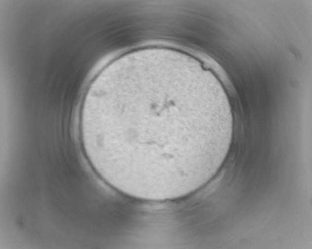 X0000115031199200911231106