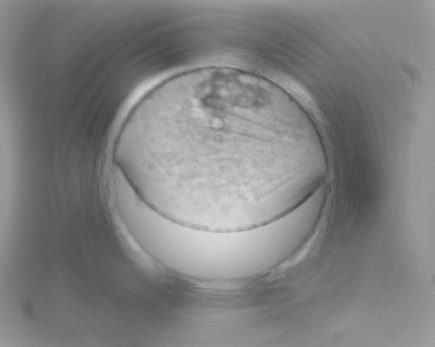 X0000115031200200911231106