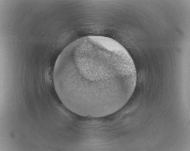 X0000115031202200911231105