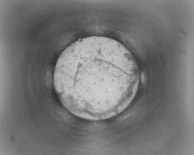 X0000115031203200911231105